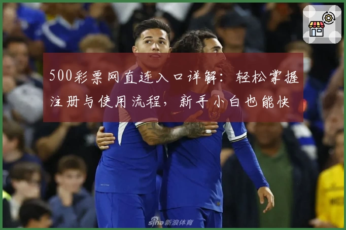 500彩票网直连入口详解：轻松掌握注册与使用流程，新手小白也能快速上手