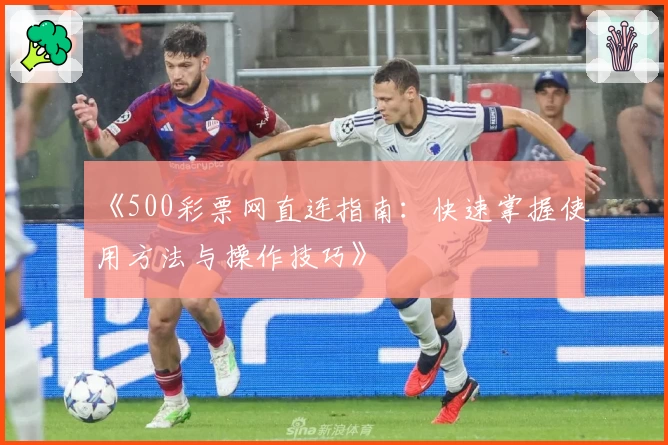 《500彩票网直连指南：快速掌握使用方法与操作技巧》