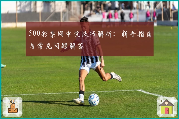500彩票网中奖技巧解析：新手指南与常见问题解答