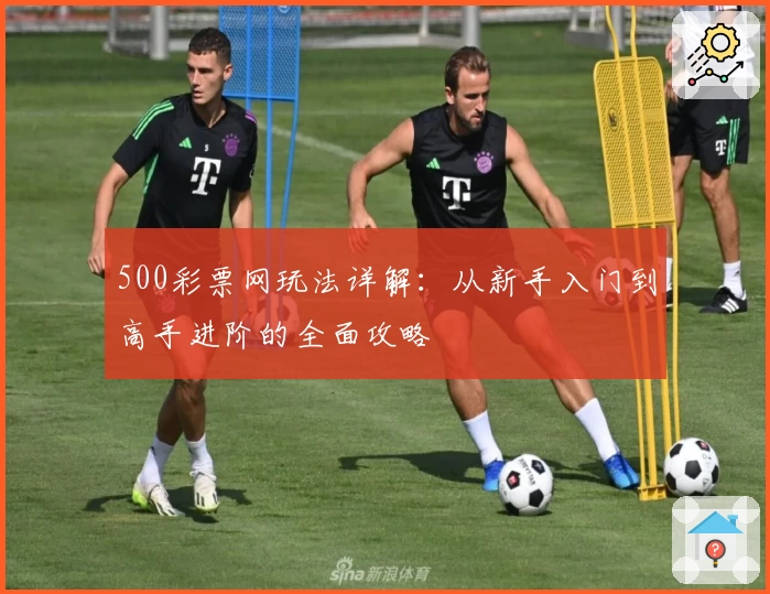 500彩票网玩法详解：从新手入门到高手进阶的全面攻略